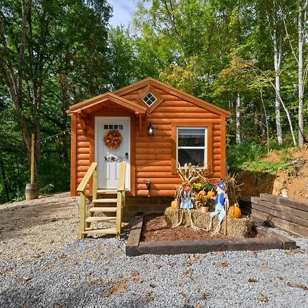 Cozy Cabins Of Cosby